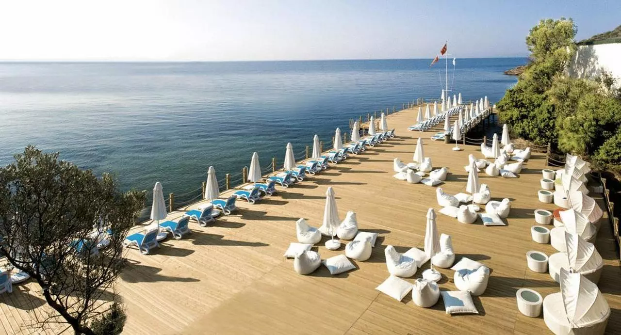 PALOMAPASHA_SHABAVIZ (24).jpg